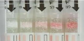 alkoholtester results